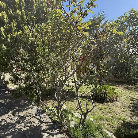 Casa vacanze Maison Avec Jardin Et Terrasse, 3 à - Fr-1-338-612 *